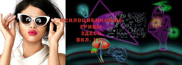 крисы Армянск