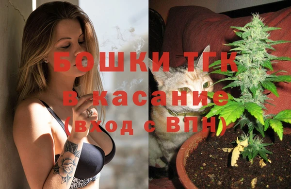 крисы Армянск