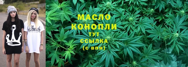 крисы Армянск