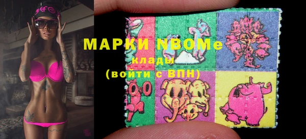 крисы Армянск
