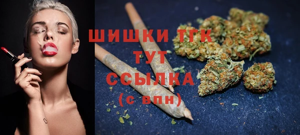 PSILOCYBIN Ладушкин