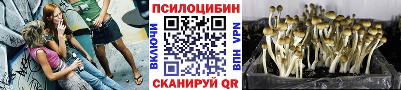 Псилоцибиновые грибы GOLDEN TEACHER  цена   Сосенский 